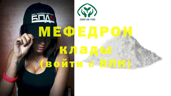 индика Медвежьегорск