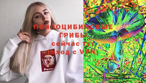 трава Дмитровск