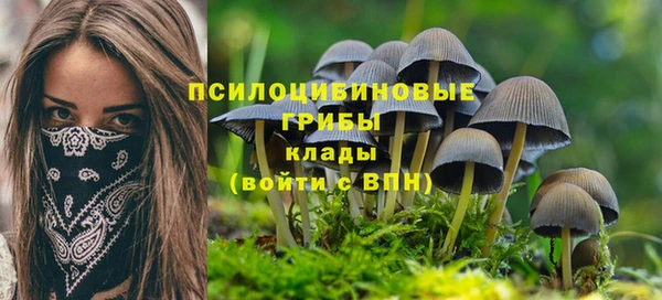 мдма Щигры