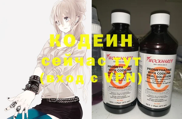 apvp Дмитриев