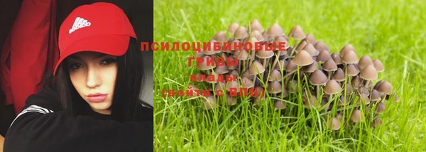 apvp Дмитриев