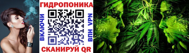 Конопля сатива Михайлов